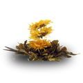 Theebloemen Zonnegloed 100 gram