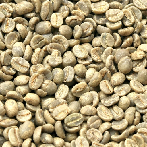 Kenya AA plus 1 kg ongebrand