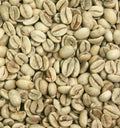 Indien Monsooned Malabar Arabica 1 kg ungeröstet